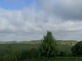 Parduodamas 4,49 ha žemės ūkio paskirties - nuotraukos Nr. 4