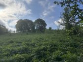 Parduodamas 4,49 ha žemės ūkio paskirties - nuotraukos Nr. 6