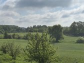 Parduodamas 4,49 ha žemės ūkio paskirties - nuotraukos Nr. 7