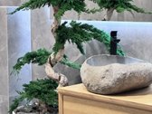 Privatus namas šalia "Eglės" sanatorijos bei - nuotraukos Nr. 12