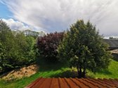 Parduodama jauki sodyba gamtos apsuptyje su - nuotraukos Nr. 16