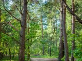Jau susiformavusioje naujos statybos namų - nuotraukos Nr. 20