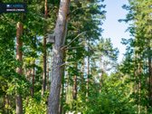 Jau susiformavusioje naujos statybos namų - nuotraukos Nr. 21