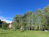 Bukčių g., pušyno apsuptyje, šalia Neries – - nuotraukos Nr. 27