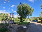 Bukčių g., pušyno apsuptyje, šalia Neries – - nuotraukos Nr. 32
