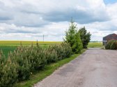 Parduodami sklypai vienbučių ir dvibučių - nuotraukos Nr. 4