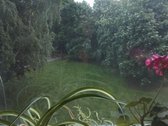 Parduodamas jaukus ir kompaktiškas 1 kambario - nuotraukos Nr. 4