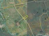 Parduodamas 3,1 ha žemės ūkio paskirties - nuotraukos Nr. 3