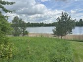 Parduodamas 3,1 ha žemės ūkio paskirties - nuotraukos Nr. 5