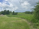 Parduodamas 3,1 ha žemės ūkio paskirties - nuotraukos Nr. 6