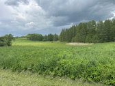 Parduodamas 3,1 ha žemės ūkio paskirties - nuotraukos Nr. 8
