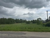 Parduodamas 3,1 ha žemės ūkio paskirties - nuotraukos Nr. 10