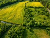 Parduodamas 13,91 a namų valdos sklypas - nuotraukos Nr. 9