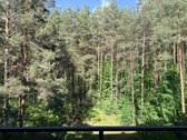 Parduodamas jaukus ir erdvus butas - nuotraukos Nr. 17