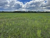 Parduodamas 2,6400 ha žemės ūkio paskirties - nuotraukos Nr. 3