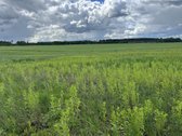 Parduodamas 2,6400 ha žemės ūkio paskirties