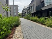Nuomojamas stilingai ir kokybiškai įrengtas 3 - nuotraukos Nr. 17