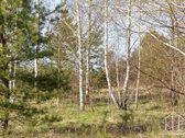 Parduodamas Namų Valdos Sklypas Dobromislėje - nuotraukos Nr. 3