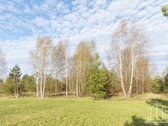 Parduodamas Namų Valdos Sklypas Dobromislėje - nuotraukos Nr. 3