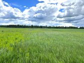 Parduodamas 2,6400 ha žemės ūkio paskirties - nuotraukos Nr. 6