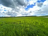 Parduodamas 2,6400 ha žemės ūkio paskirties - nuotraukos Nr. 8