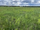 Parduodamas 2,6400 ha žemės ūkio paskirties - nuotraukos Nr. 9