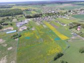 Parduodamas 71.62 arų namų valdos sklypas - nuotraukos Nr. 3