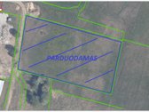 Parduodamas 71.62 arų namų valdos sklypas - nuotraukos Nr. 5