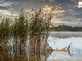 Parduodamas 16,54 aro rekreacinės paskirties - nuotraukos Nr. 2