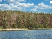 Parduodamas 16,54 aro rekreacinės paskirties - nuotraukos Nr. 5