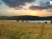 Parduodamas 16,54 aro rekreacinės paskirties - nuotraukos Nr. 6