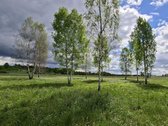 1.66ha žemės ūkio paskirties sklypas,galima - nuotraukos Nr. 3