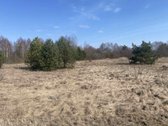 Parduodamas 1.24ha zemes ukio paskirties - nuotraukos Nr. 4
