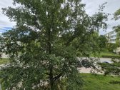 3 Kambarių Butas Puikioje Vietoje, Naujosios - nuotraukos Nr. 12