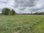 Parduodamas 54 arų žemės ūkio paskirties - nuotraukos Nr. 4