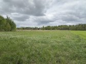 Parduodamas 54 arų žemės ūkio paskirties - nuotraukos Nr. 6