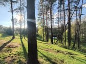 Ant šimtamečio pušyno kalvos, - nuotraukos Nr. 28