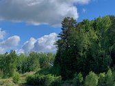 Parduodamas namų valdos sklypas labai - nuotraukos Nr. 4