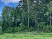 Parduodamas namų valdos sklypas labai - nuotraukos Nr. 7