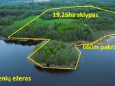 Išskirtinis 20 ha sklypas su 660 m Akmenių - nuotraukos Nr. 5