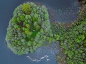Išskirtinis 20 ha sklypas su 660 m Akmenių - nuotraukos Nr. 12