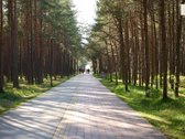 Premium Klasės 3 Kambarių Butas Prestižiniame - nuotraukos Nr. 36