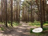 Premium Klasės 3 Kambarių Butas Prestižiniame - nuotraukos Nr. 34