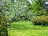 For sale: a countryside homestead in Utena - nuotraukos Nr. 19