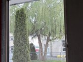 Tiems, kuriems patinka Naujamiesčio atmosfera - nuotraukos Nr. 3