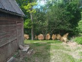 Fazanų g. 33.sodo reljefas-slaitinis, - nuotraukos Nr. 6
