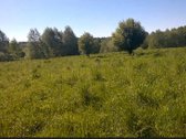 Zemaitijos viduryje parduodamas naturalios - nuotraukos Nr. 6