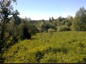 Zemaitijos viduryje parduodamas naturalios - nuotraukos Nr. 8