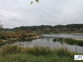 Vaizdingoje vietoje, šalia Nemuno, Gineitų k. - nuotraukos Nr. 9