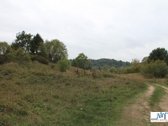 Vaizdingoje vietoje, šalia Nemuno, Gineitų k. - nuotraukos Nr. 11